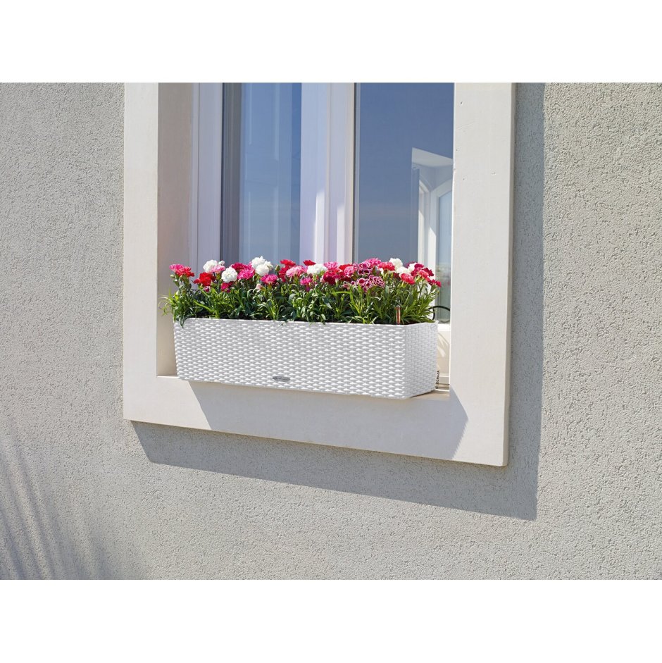 Balconera Cottage 80