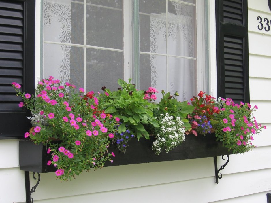 Цветы в горшках на балконе