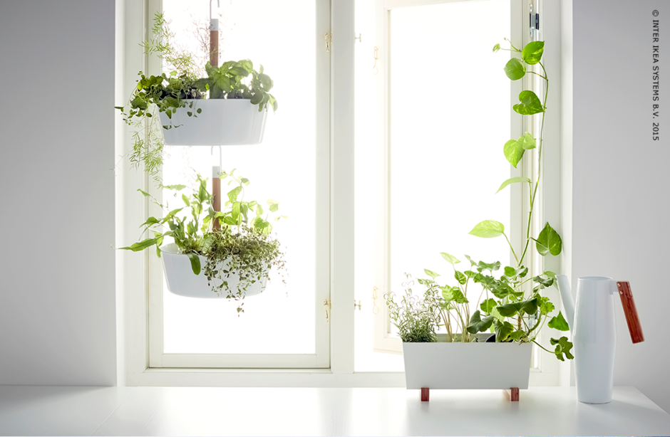 Bittergurka БИТТЕРГУРКА