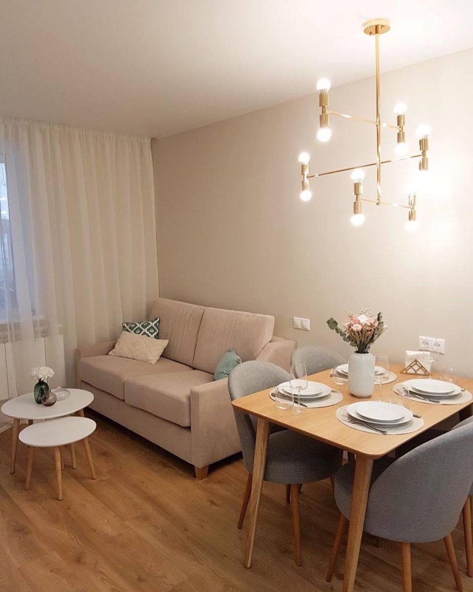 Кухня-гостиная 20 кв.м евродвушка