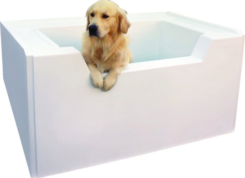 Ванная для собак