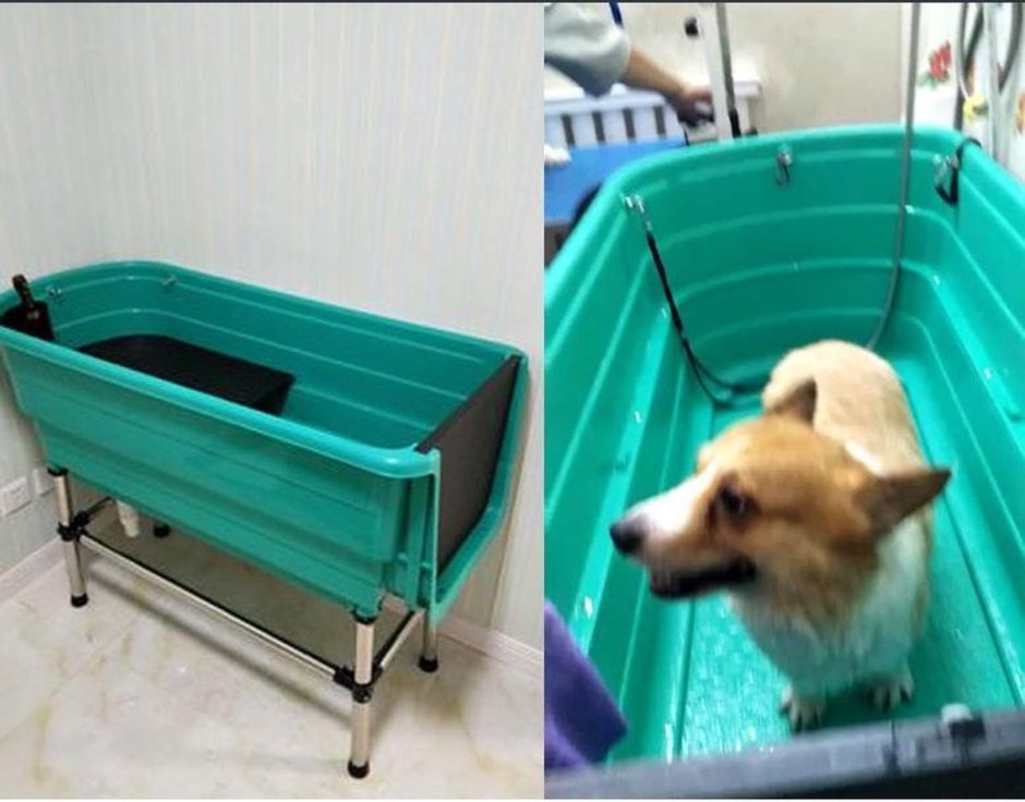 Ванна для собак пластиковая