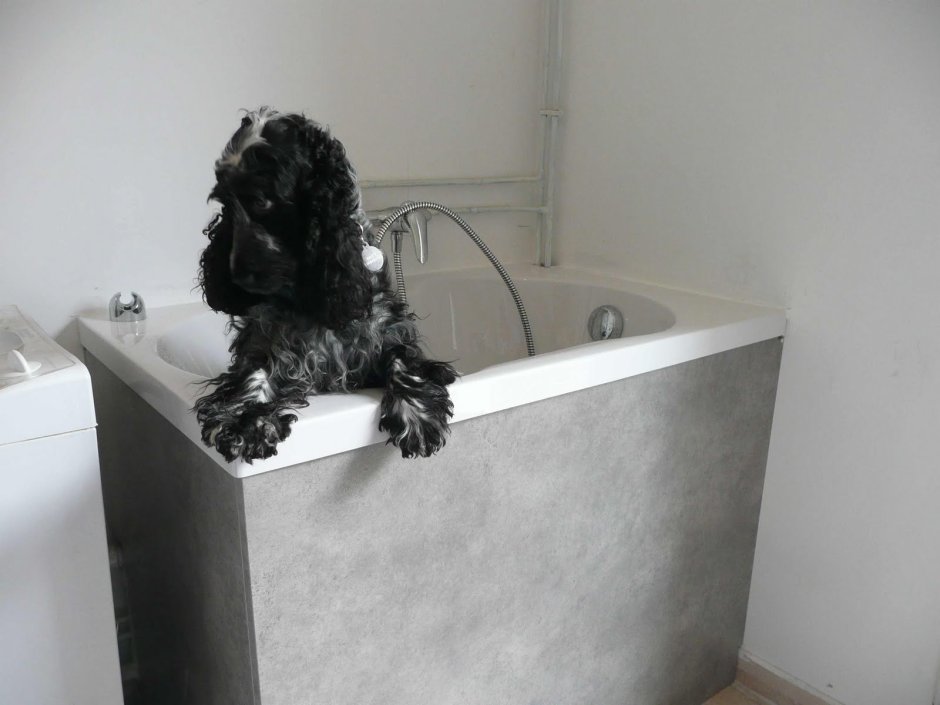 Раковина для мытья лап собакам в ванную