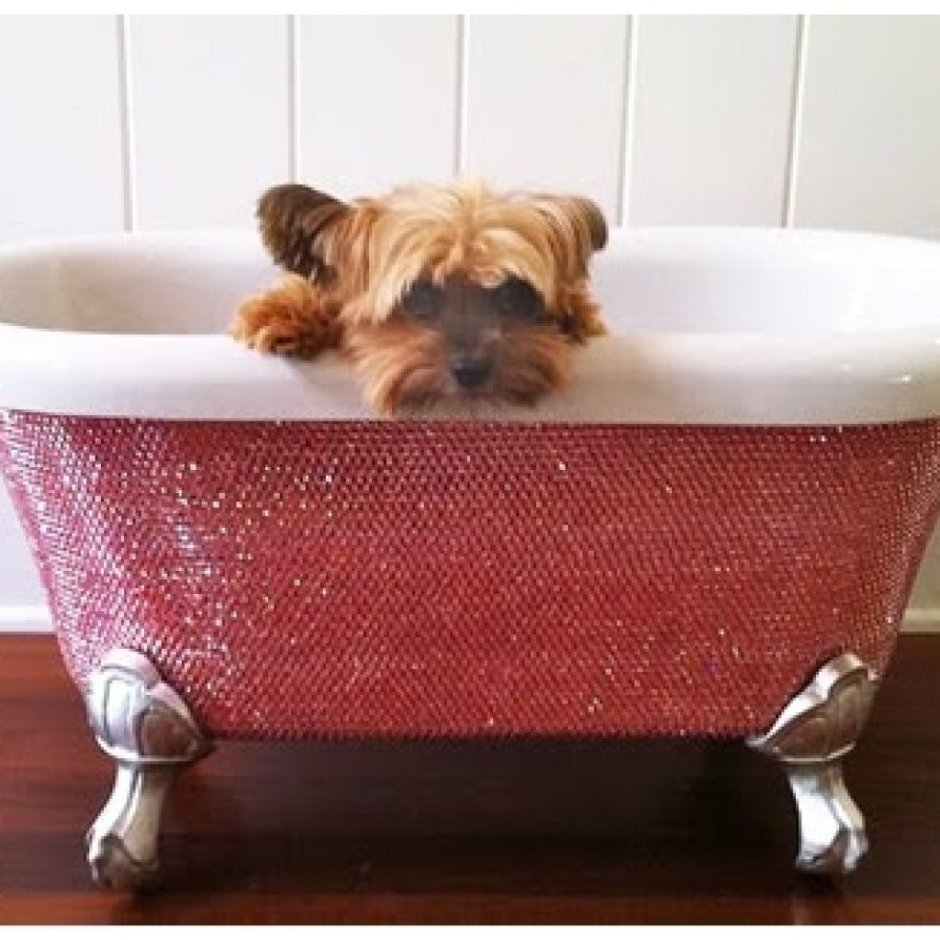 Ванночка для мытья собак